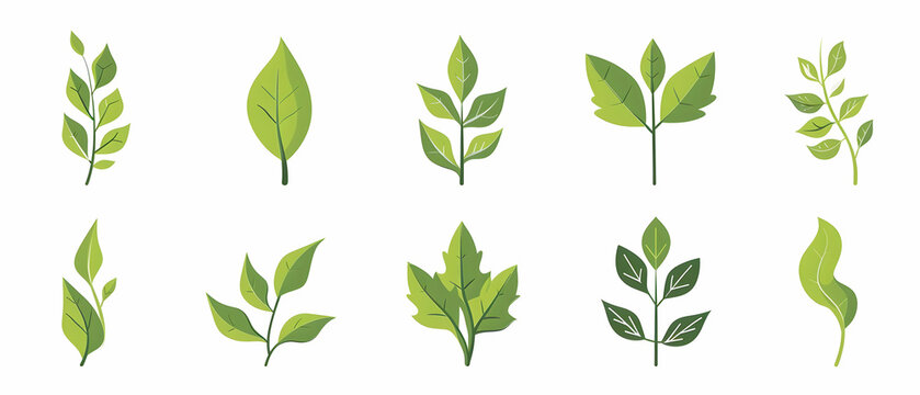 Set of simple vector icons for leaves, flat design, white background, green color, vector graphics,