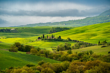Obraz premium The Cypress trees with farmland in Tuscany Region,Italy