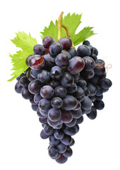 Bunch of grapes isolated on white