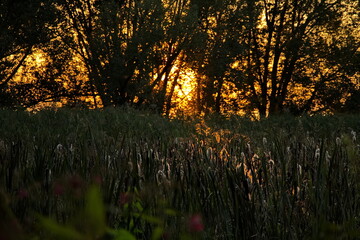 Summer sunset over Lake Pleshcheyevo.