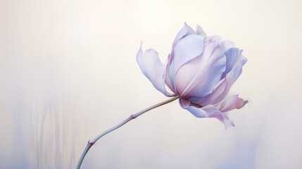 generative illustration lotuses on a white background