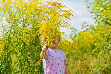 Child in ragweed flowers allergy. Selective focus.