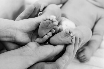 Tender Connection: A Family's Embrace of New Life