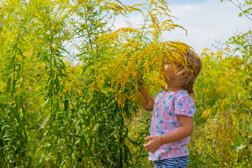 Child in ragweed flowers allergy. Selective focus.