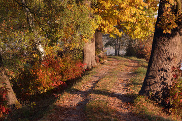 Piękna jesienna droga, kolorowe liscie tapeta.
