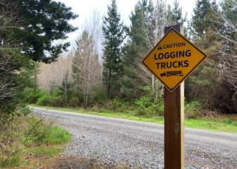 Logging trucks warning sign while tree felling in a pine forest