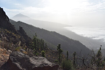 Teide, mountains, clouds and trees in Tenerife