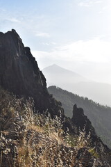 Teide, some mountains and trees in Tenerife, Spain