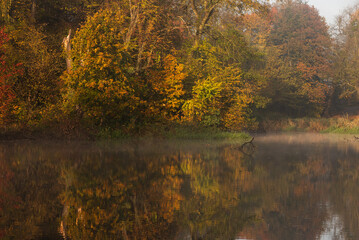 Jesień w parku w Pszczynie, Śląsk  Polska 