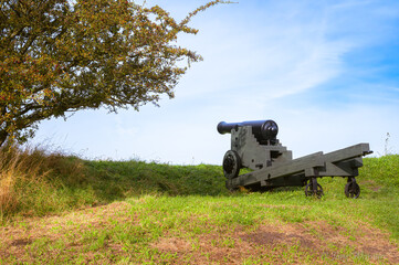 cannon in the field