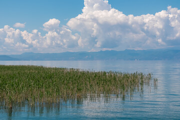 Serene lakeside scene with patch of tall reeds reaching out from the shore of Lake Ohrid, North Macedonia. Blue water stretches towards distant mountain range, creating breathtaking panorama in summer