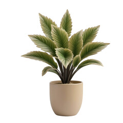 Artificial ornamental plant in beige pot, perfect for home decor visuals