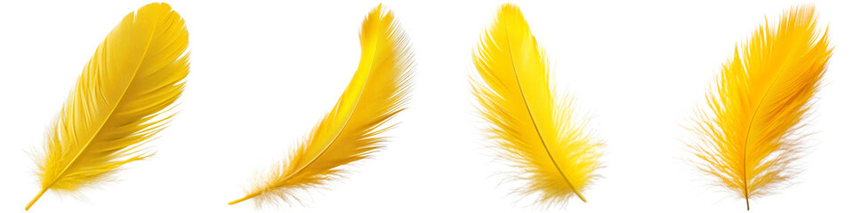 These Four Bright Yellow Feathers