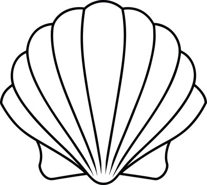 recommend clip art: 
                    Seashell line art vector, Sea animal outline drawing, seashell sketch
                    
                    