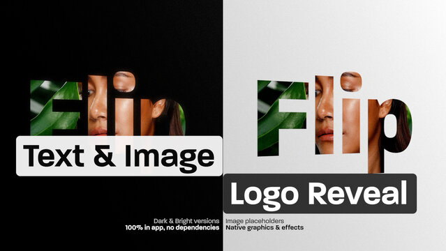 3D Image Text Logo Flip Reveal, Clean and Modern Logo Intro