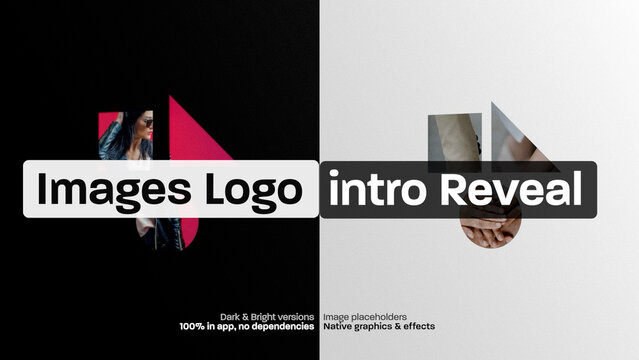 Image Logo 3D Flip Intro, Clean and Modern Logo Reveal