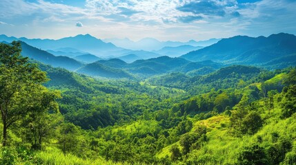 Fototapeta premium The lush green hills of Loei, with hiking trails leading through forests, streams, and