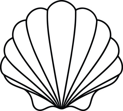 recommend clip art: 
                    Seashell line art vector, Sea animal outline drawing, seashell sketch
                    
                    