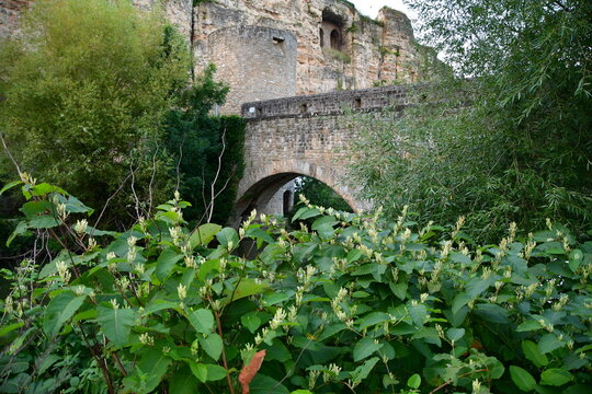 VISTAS DE LA CIUDAD DE LUXEMBURGO