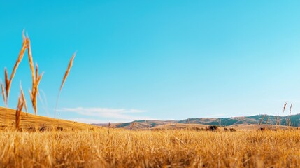 Fototapeta premium Serene Landscape Impacted by Climate Change