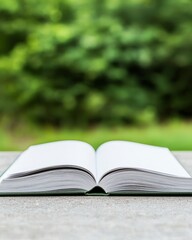 Open Book on Table with Green Background