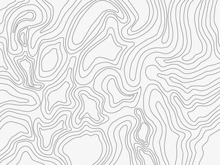 Fototapeta premium abstract wavy background. topographic contour background. contour lines background. Topographic map contour background. 