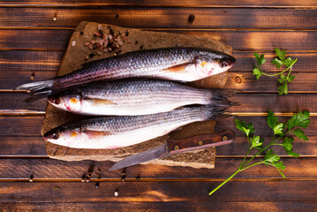 Gray Mullet Fish (Kefal) on stone board