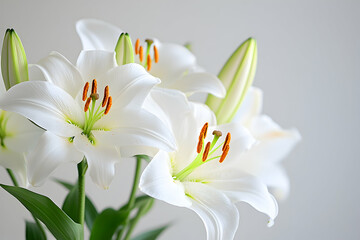 Obraz premium White lilies close-up with delicate petals, soft lighting, clean minimalist design