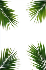 Fototapeta premium A close up of a leafy green palm tree with four leaves