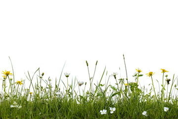 A field of grass with a few flowers in it