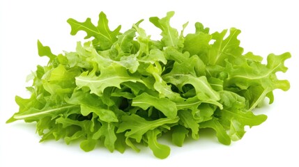 Obraz premium A pile of fresh, vibrant green leafy lettuce.