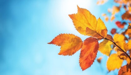 Fototapeta premium Vibrant orange autumn leaves on a thin branch against a clear, bright blue sky, symbolizing seasonal change. Generated with AI.
