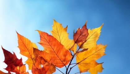 Fototapeta premium Vibrant orange autumn leaves on a thin branch against a clear, bright blue sky, symbolizing seasonal change. Generated with AI.