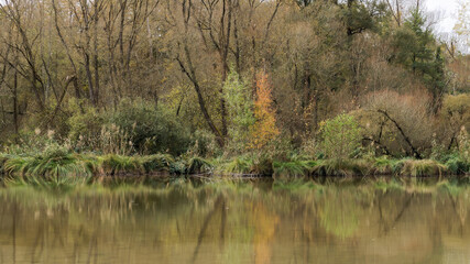 A beautiful shot of a lake with autmn trees on the background