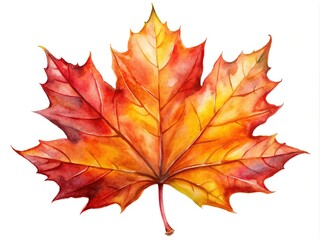 Fototapeta premium Lively watercolor maple leaf artwork in red and orange captures the essence of autumn, perfect for fall decor and celebrating Canada Day festivities.