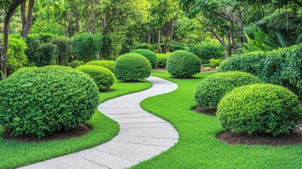 Serene Garden Pathway Through Lush Greenery