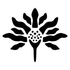 Vector sketch of symmetric flower. Hand drawn botanical element isolated on white background.