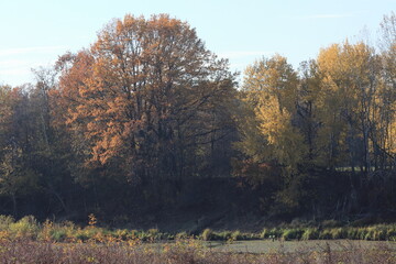 Autumn landscape along the river banks