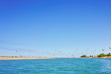 view of Oualidia city of Morocco