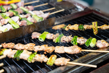chicken skewers with green onion slices roasted on the grill