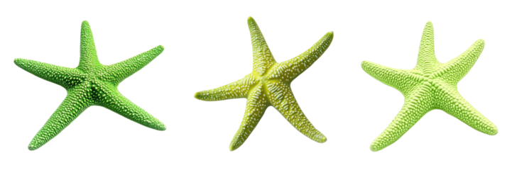 Set of Green colour starfish in vivid color isolated on a transparent background