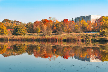 A beautiful autumn day with a lake and trees in the background. The water is calm and the trees are full of bright orange leaves