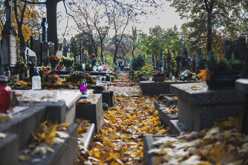 Graves in Autumn Atmosphere During All Saints' Day in Poland