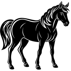 Obraz premium Horse vector silhouette 
