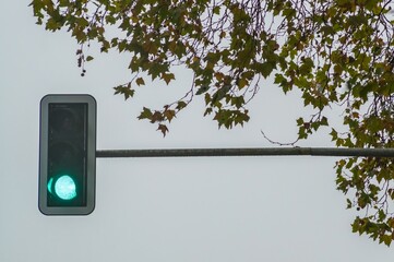 Green traffic light shining under cloudy sky and autumnal tree branches