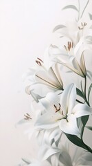 Obraz premium Elegant White Lilies Against a Soft Background