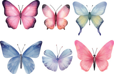 collection of butterflies