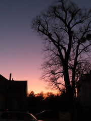 sunset over the city with magical colors