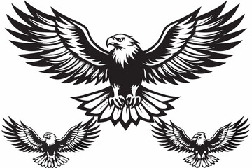 Soaring Eagle Silhouette Design