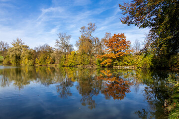 Colorful trees on the banks of a pond reflecting in the water on a sunny autumn day